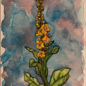 “Mullein” Watercolor Notecard